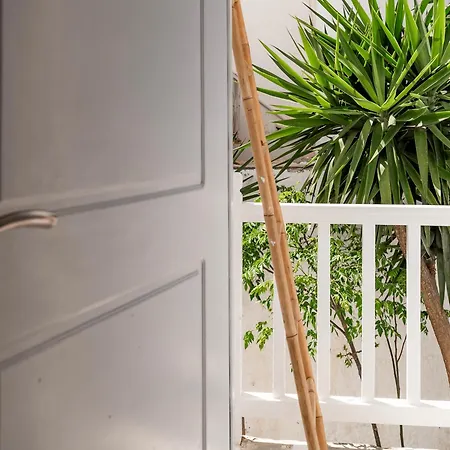 شقة فندقية White Pearl Mykonos 4*