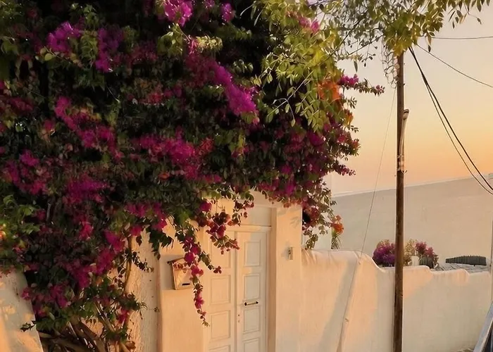 アパートホテル White Pearl Mykonos Mykonos Town